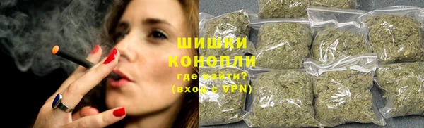бошки Алексин