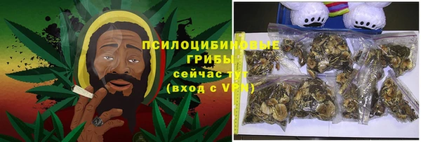 СК Алзамай
